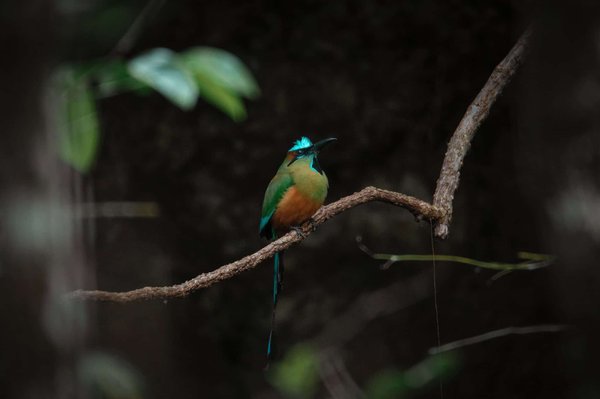 Quelles sont les caractéristiques des bandeaux cache-oreilles et quels sont les meilleurs ?